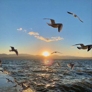 中文字幕一区二区三区5566
